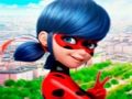 게임 LadyBug 직소 퍼즐 컬렉션  온라인