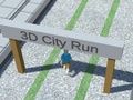 게임 시티런 3D  온라인