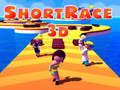 게임 짧은 레이스 3D  온라인