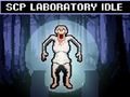 게임 SCP 연구소 대기 온라인