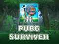 게임 PUBG 생존자  온라인