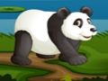 게임 축구 팬더  온라인