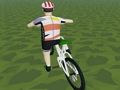 게임 익스트림 3D 타기  온라인