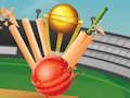 게임 T20 크리켓  온라인