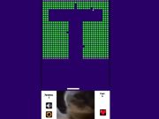 게임 벽돌깨기 치피치피차파차파고양이  온라인