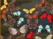게임 Mergebuterfly : 2048! 온라인 게임 Mergebuterfly : 2048! 온라인