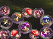게임 Mergemushrooms : 2048! 온라인 게임 Mergemushrooms : 2048! 온라인