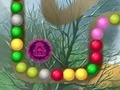 게임 Lost Island 온라인