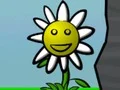 게임 Flower Power 온라인