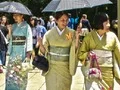 게임 100 Butterflies in Japan 온라인