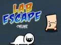 게임 Lab Escape Online 온라인