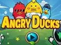 게임 Angry Ducks 온라인