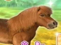 게임 My Dear Pony 온라인