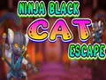 게임 Ninja Black Cat Escape 온라인