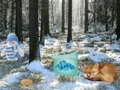 게임 Winter Wonderland Forest Adventure 온라인