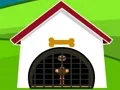 게임 Ostrich Rescue 온라인