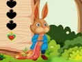 게임 Squirrel Escape 온라인