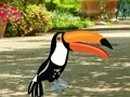 게임 Find Woodpecker Pair 온라인
