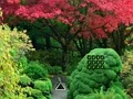 게임 Maple Leaf Garden Escape 온라인