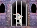 게임 Victory Rabbit Escape 온라인