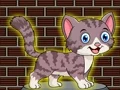 게임 Loveable Small Cat Escape 온라인