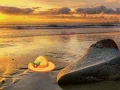 게임 Escape From Sunset Beach 온라인