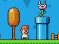 게임 Ninja Plumber 온라인