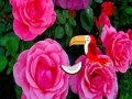 게임 Precious Rose Escape 온라인