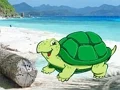 게임 Beach Crab Pair Escape 온라인