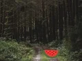 게임 Dense Forest Deer Escape 온라인