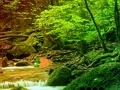 게임 Peaceful Rainbow Forest Escape 온라인