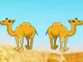 게임 Desert Gold Rush The Great Treasure Escape 온라인