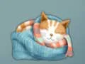 게임 Adorable Escape Find Cute Kitten 온라인