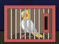 게임 Release The Cockatiel Bird 온라인