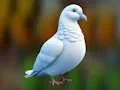 게임 Realistic Pigeon Rescue 온라인