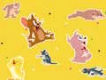 게임 The Tom and Jerry Show Find it! 온라인
