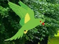 게임 Parrot Find The Nest 온라인