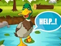 게임 Help The Charming Duck 온라인