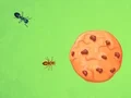 게임 Ant vs Cookie 온라인