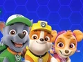 게임 Paw Patrol 온라인