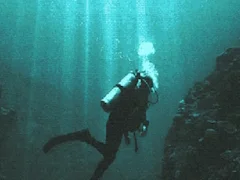 게임 The Depths 온라인