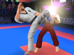 게임 Karate Fighter 온라인