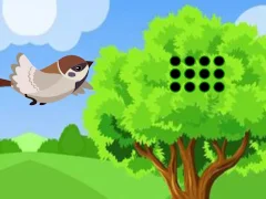 게임 Sparrow Meets Crow Buddies 온라인