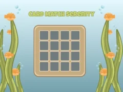 게임 Card Match Serenity 온라인