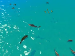 게임 Hungry Shark Hunt 온라인