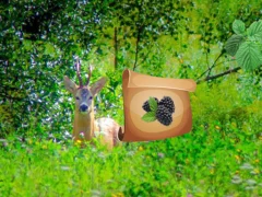게임 Return To Alsunga Forest 온라인