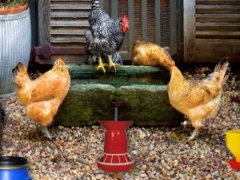 게임 Poultry Farm Easter Escape 온라인