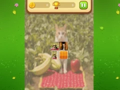 게임 Farm Cat Memory Match 온라인