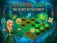 게임 Northern Lights - The Secret Of The Forest 온라인