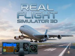 게임 Real Flight Simulator 3D 온라인